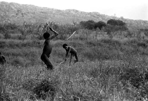 Karl Heider negatives, New Guinea; Boys throwing spears