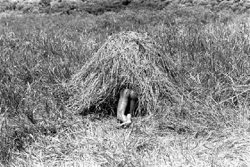 Karl Heider negatives, New Guinea; Uwar crawls into a toy house