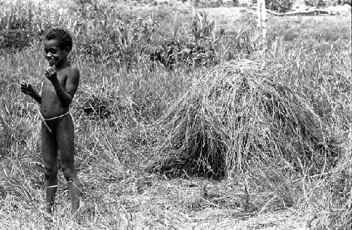 Karl Heider negatives, New Guinea; Uwar stands outside of it