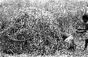 Karl Heider negatives, New Guinea; Little girls crawling into toy honai