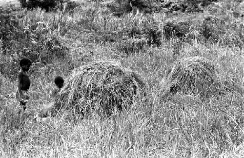 Karl Heider negatives, New Guinea; Children going into toy house