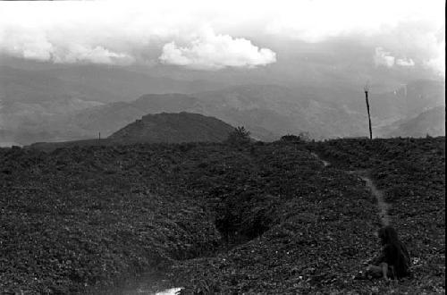 Karl Heider negatives, New Guinea; On the path out to Hellerabet