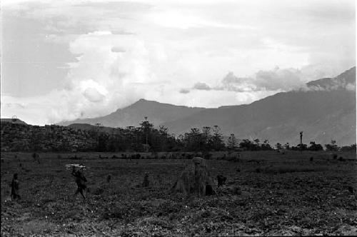 Karl Heider negatives, New Guinea; Little garden house