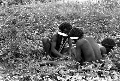 Karl Heider negatives, New Guinea; Men plucking backside hair