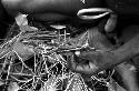 Karl Heider negatives, New Guinea; Man holding a piece of sien apusa