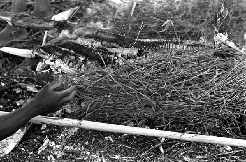 Karl Heider negatives, New Guinea; Fire and new spear