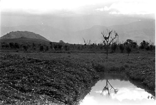 Karl Heider negatives, New Guinea; Garden ditch