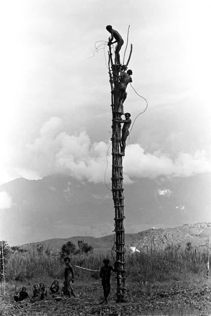 Karl Heider negatives, New Guinea; Women working in fields and men on kaio