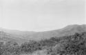 Valley of branch of Rio Tabasara, looking north, shoulder of Cerro Banco at right