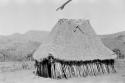 Thatched roofed house