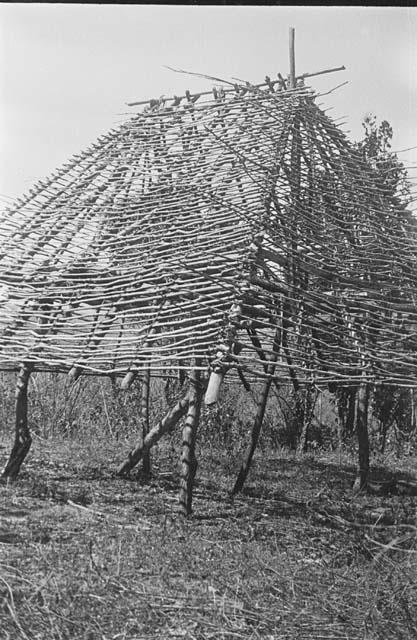 Framework of thatched house -- from corner