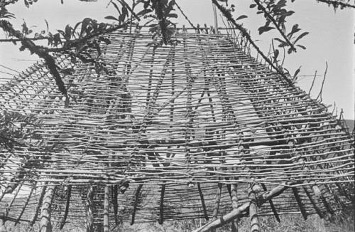 Framework of thatched house -- showing roof from outside