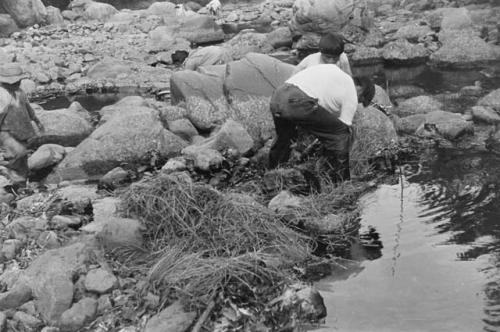 Making grass and stone fish dam