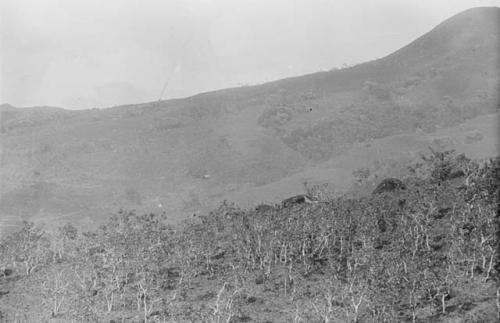 West slope of Cerro Banco