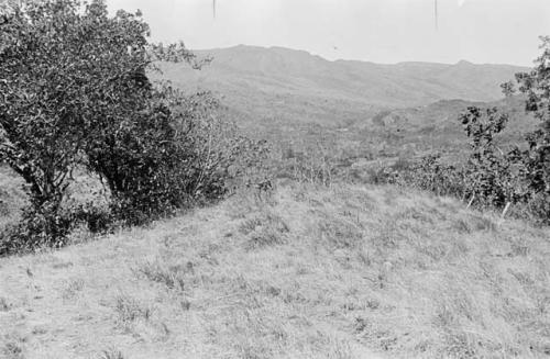 Grass in foreground covers stones said to mark ancient grave.