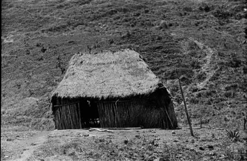 House with thatched roof