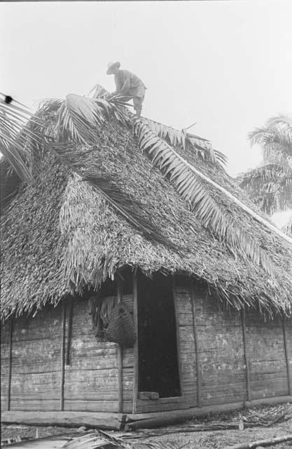 Mending roof with palm fronds.