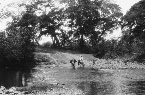 Fird in Rio Cocle