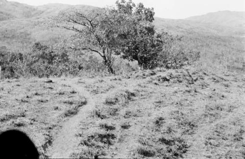 River pebbles marking site of ancient grave