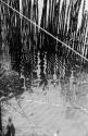 Detail inside fish trap showing rope holding door and strings to bait.