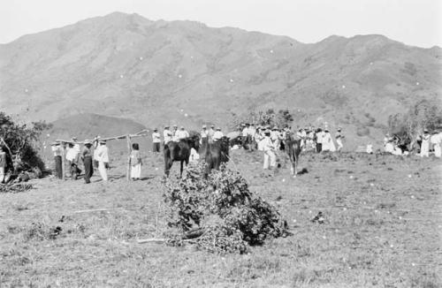 Groups of people at Balseria during the first day