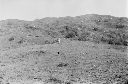 Ancient graveyard from which fire has been seen issuing.