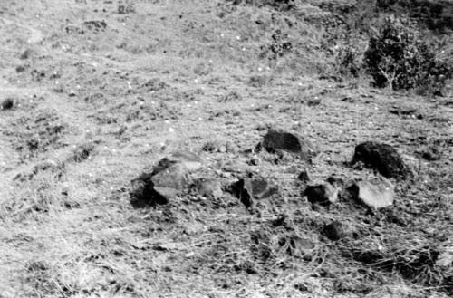 Close up of stone ring (see L-46-4) after grass has been cleaned off.