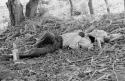 Man sleeping on the ground with bottles