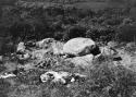 View of dolmen from hill above