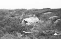 Southeastern side of dolmen, before clearing