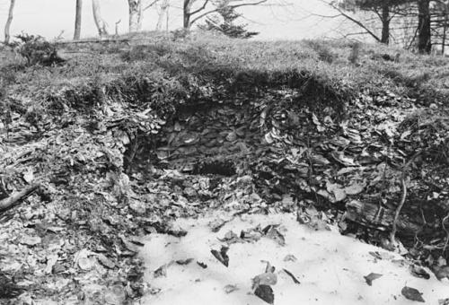 Old excavation in shells down-river from main mound.