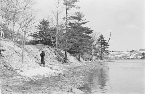 Thickest deposit of shells down-river from main mound.