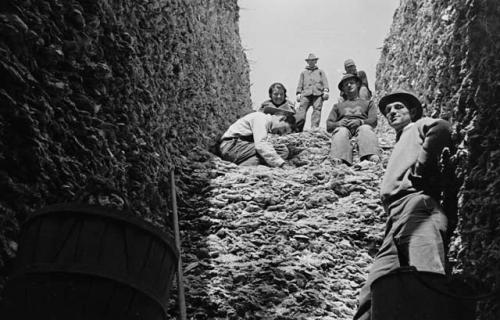 Group in trench I looking northeast from bottom pit