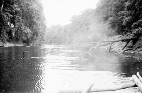 Barama River at low water