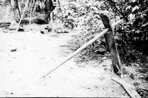 Cane mill, for extractig juice from sugar cane.