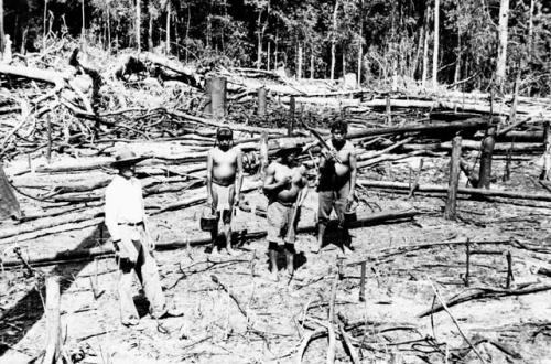 Three members of expedition crew in a cleared field.