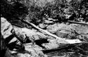 Scenes showing the process of taking korials over the great falls at Towakaima.