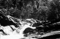 Scenes showing the process of taking korials over the great falls at Towakaima.