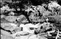 Scenes showing the process of taking korials over the great falls at Towakaima.