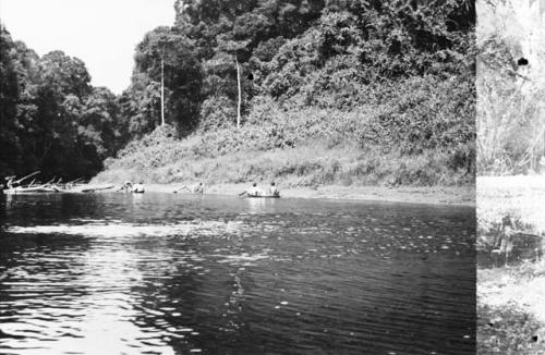 Expedition canoes on river.