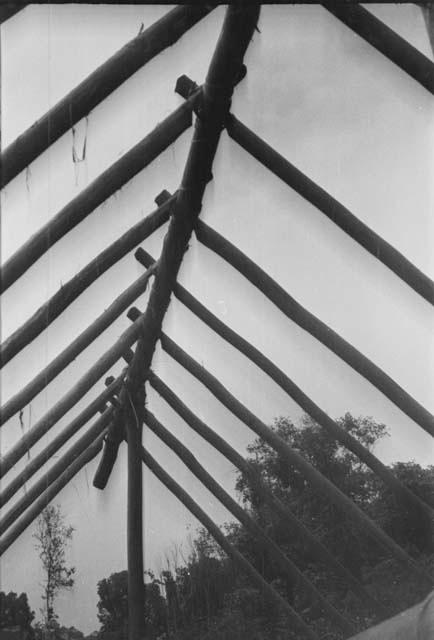 Closeup of ridge pole of native house showing method of attaching rafters.