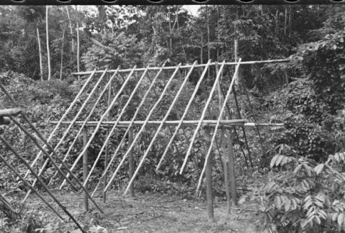 Framework of a 4-pillar house with rafters attached.