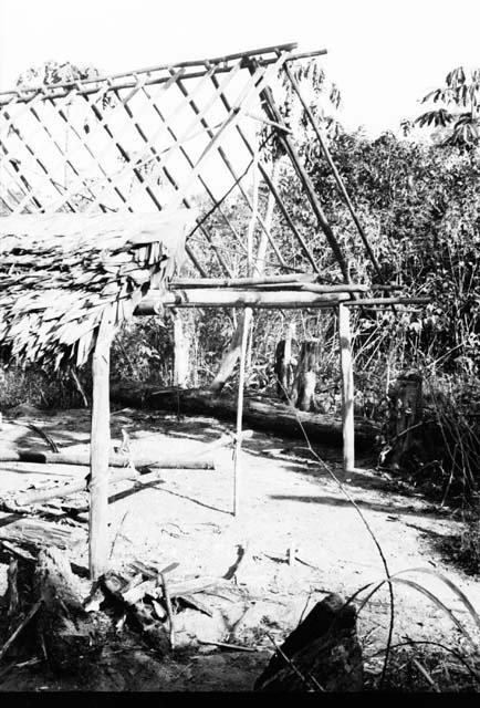 Partly thatched house roof -- exterior