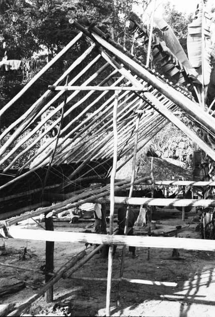 House roof partly thatched, showing interior scaffolding of poles.