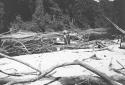 Views of Barama River at low water showing expedition boat in various stages of difficulties