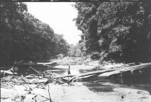 Barama River at low water showing some of the difficulties encountered by expedition