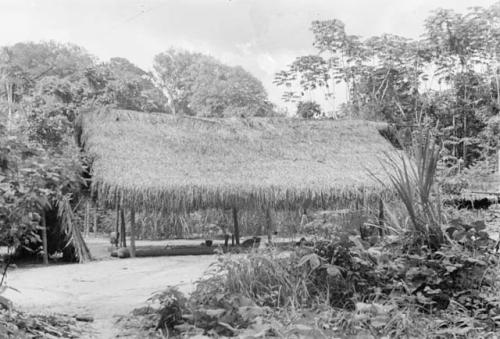 Miller's large house at Sawari