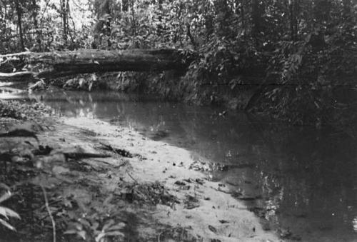 Bathing place in Sawari creek used by Miller's clearing of village of Sawari.