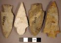 Chipped stone, projectile points, stemmed