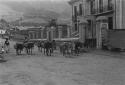 Quichua man with train of pack donkeys